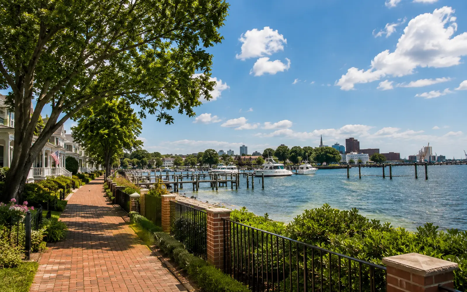 Pest control in Portsmouth, VA