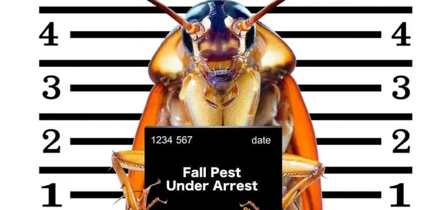 Fall Pests