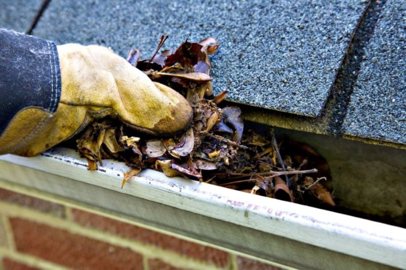 Gutters Cleaning