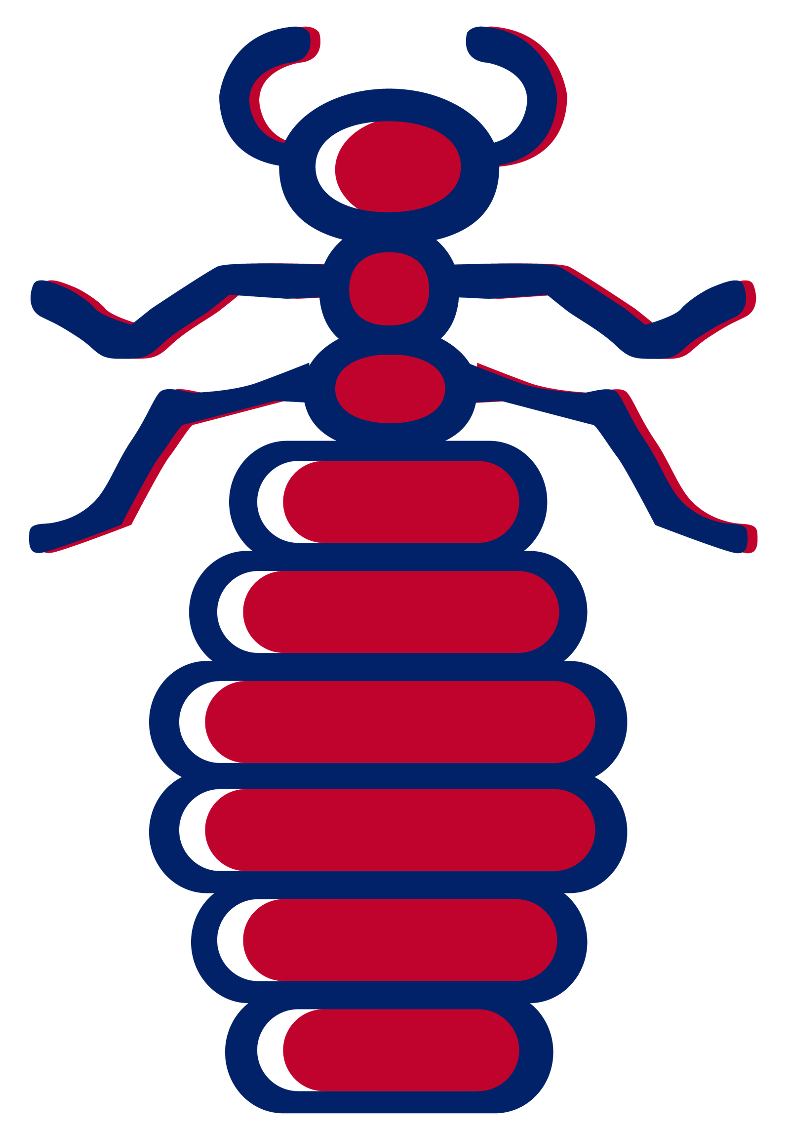 Termite Treatment