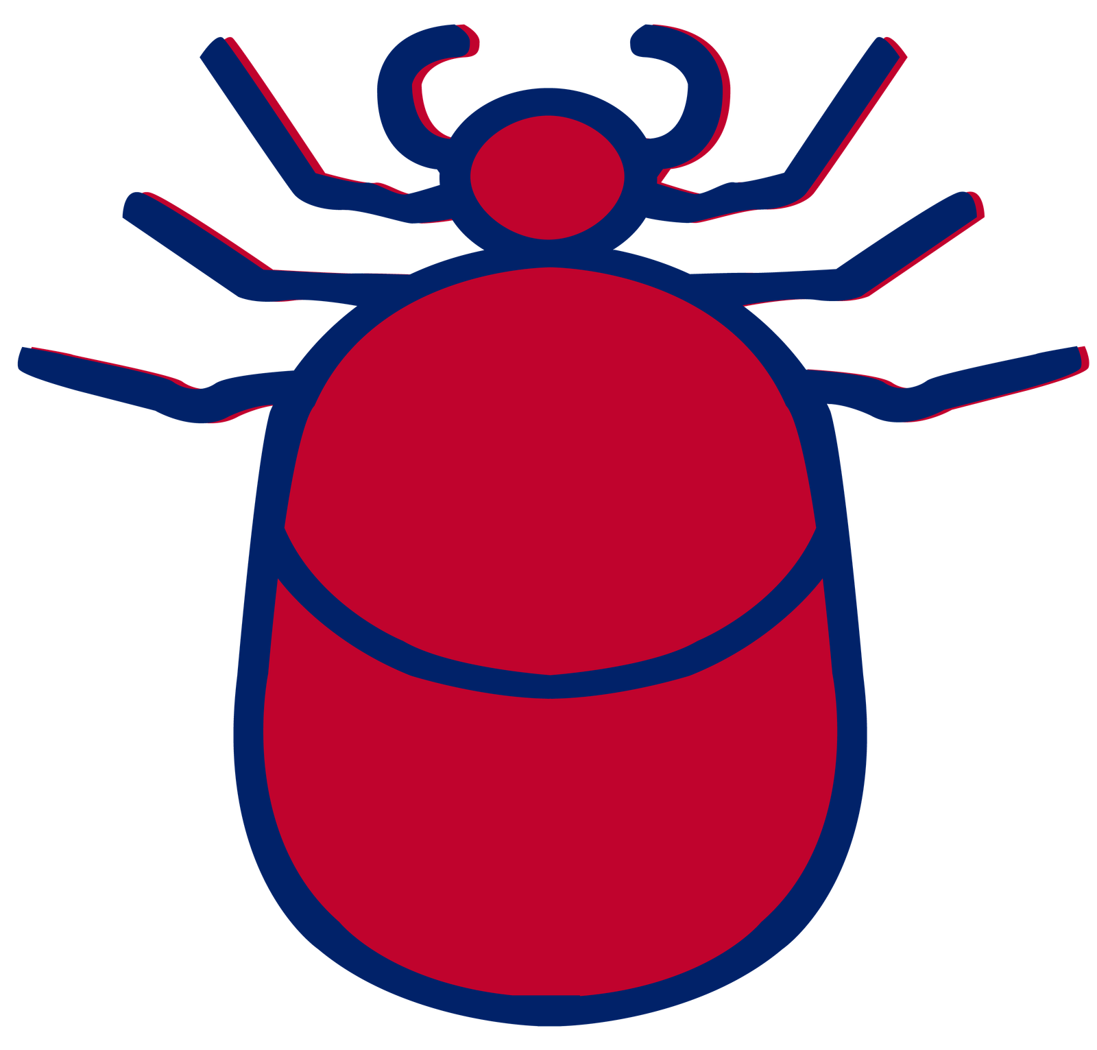 Bedbug Treatment