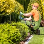 The Connection Between Landscaping and Pest Control