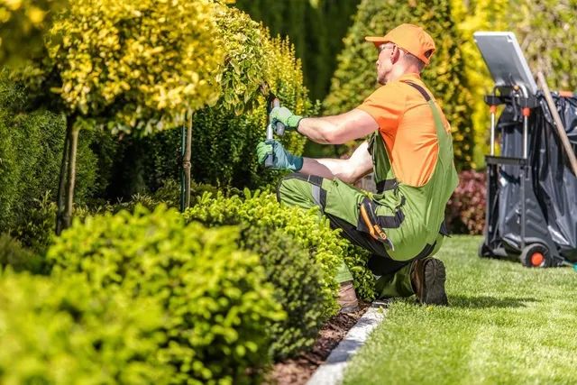 The Connection Between Landscaping and Pest Control