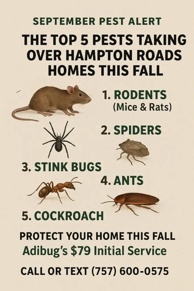 September Pest Alert: The Top 5 Pests Taking Over Hampton Roads Homes This Fall