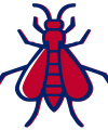 Icons-04-flys