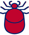 Bedbug Treatment