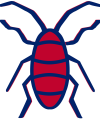 Icons-08-roach